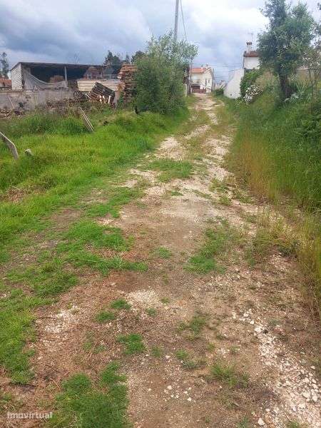 Terreno em Angeja - Vista 5