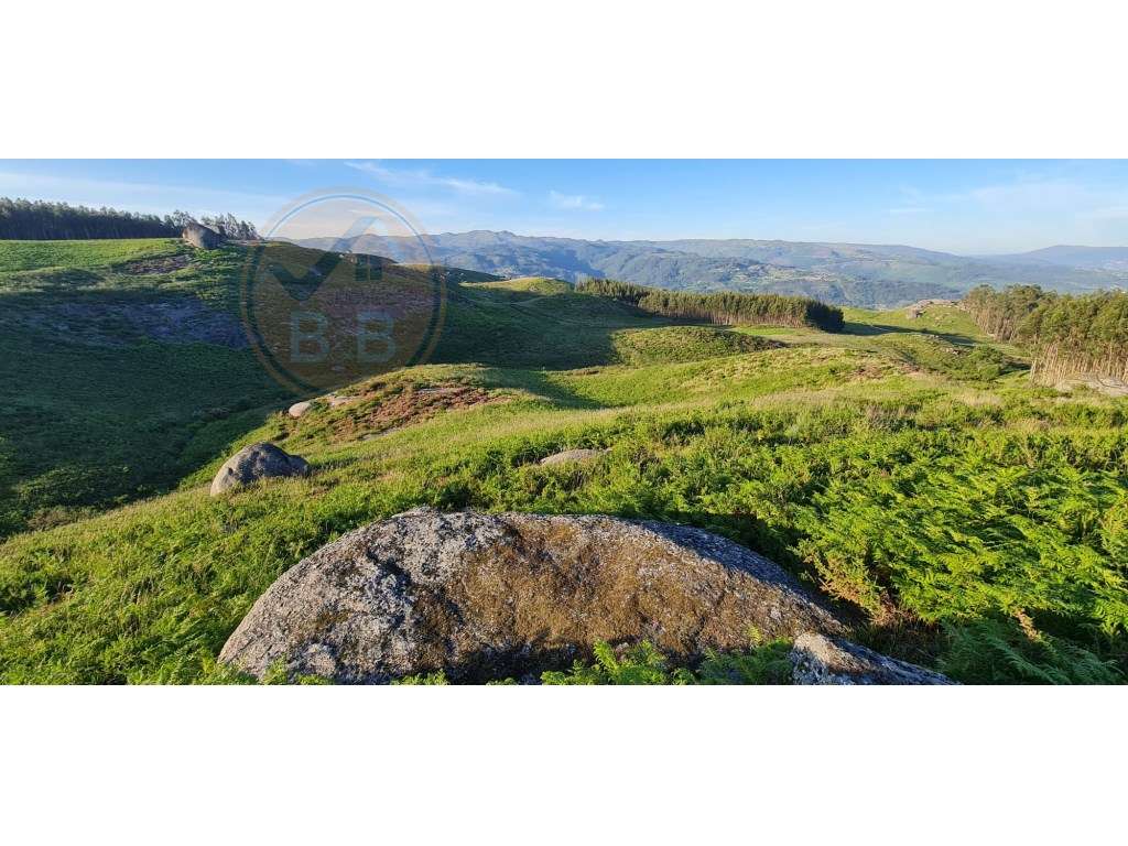 Terreno com projeto de turismo aprovado, em Cabeceiras de Basto - Grande imagem: 4/6