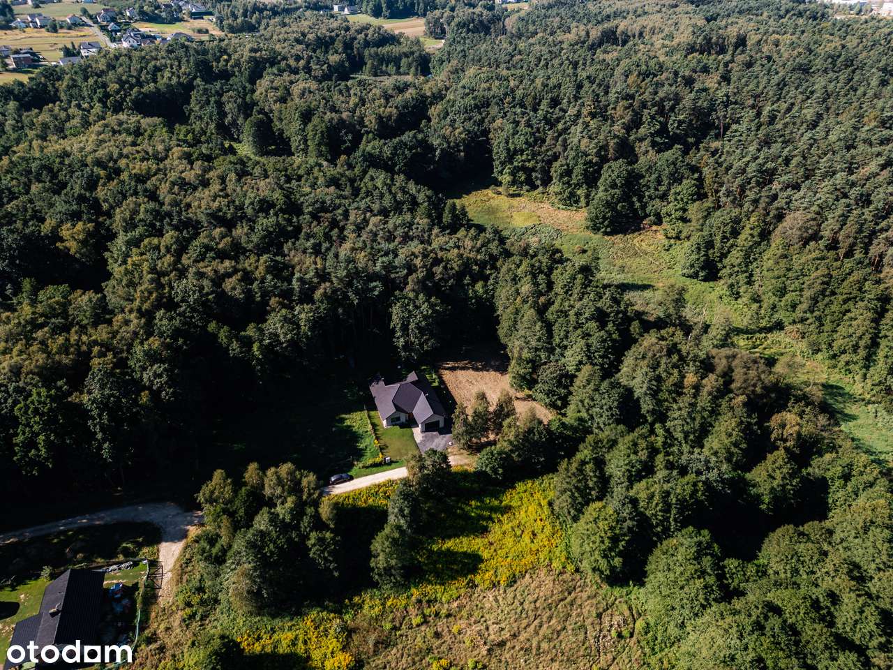 Działka w Rogożnej z mediami i pięknym widokiem na las.-1