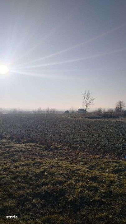 Vand teren intravilan 4000MP cu  dechidere la Delta Neajlovului, Coman - Imagine principală: 3/11