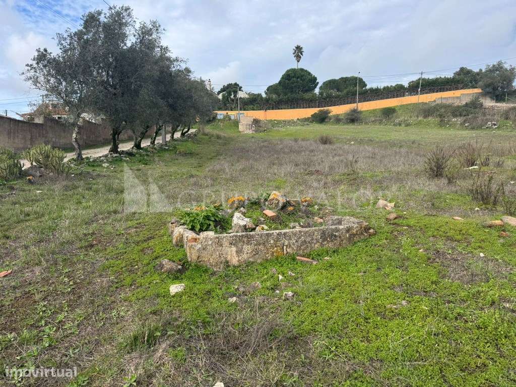 Terreno com 4220m2, em Almornos, Almargem do Bispo-3