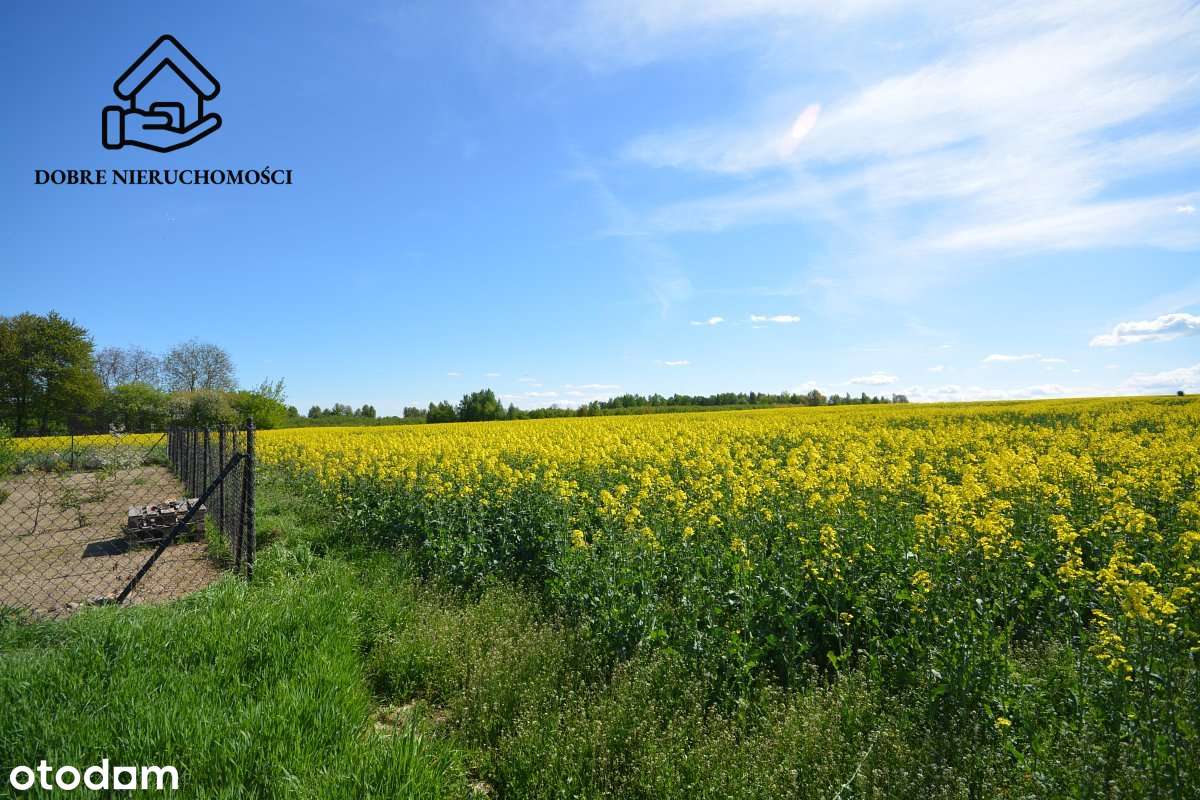 2 działki 2000 m2 -  Chmiel-Kolonia gm. Jabłonna - Pełny obrazek: 1/4