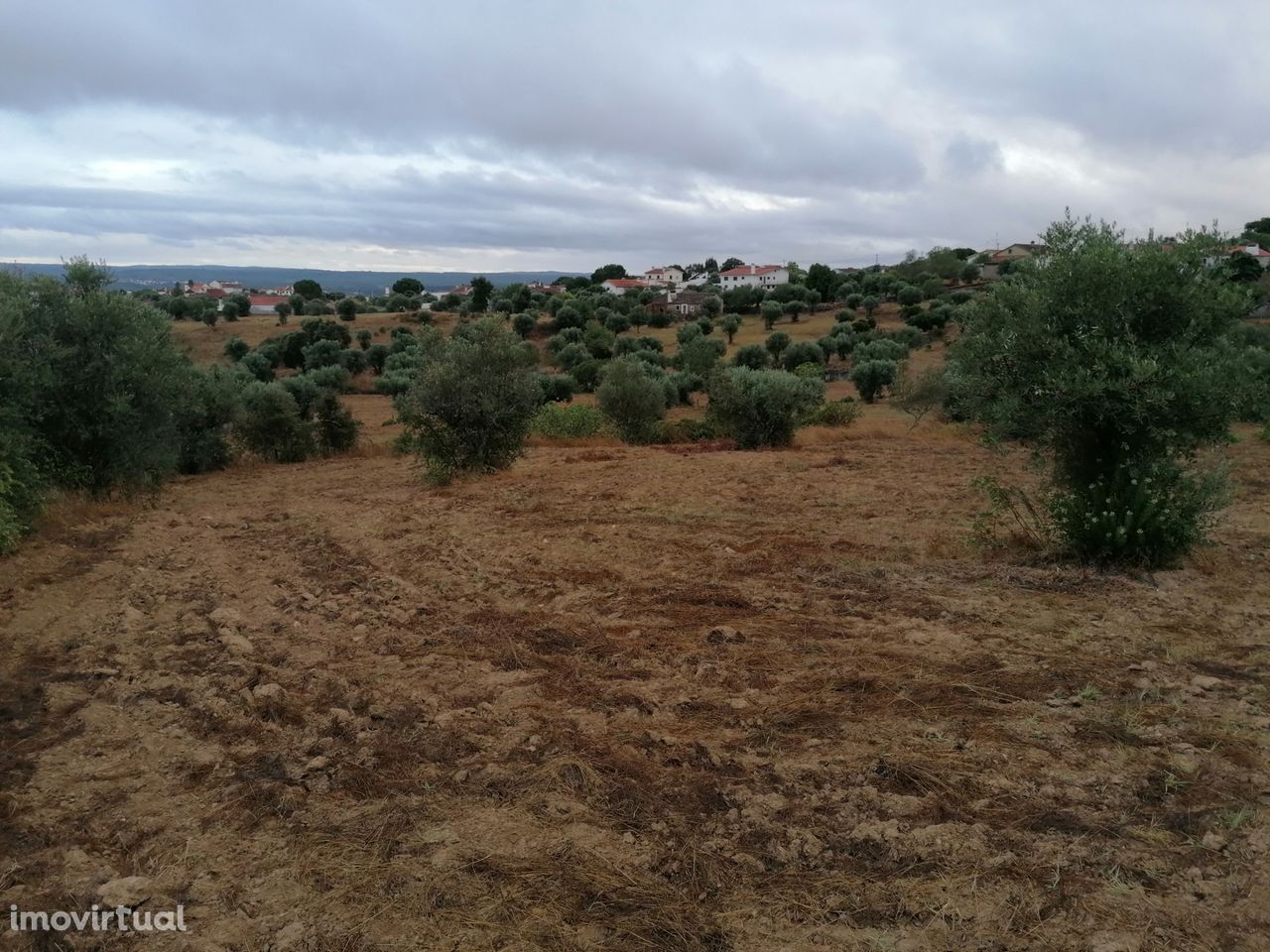 Terreno em Mouriscas