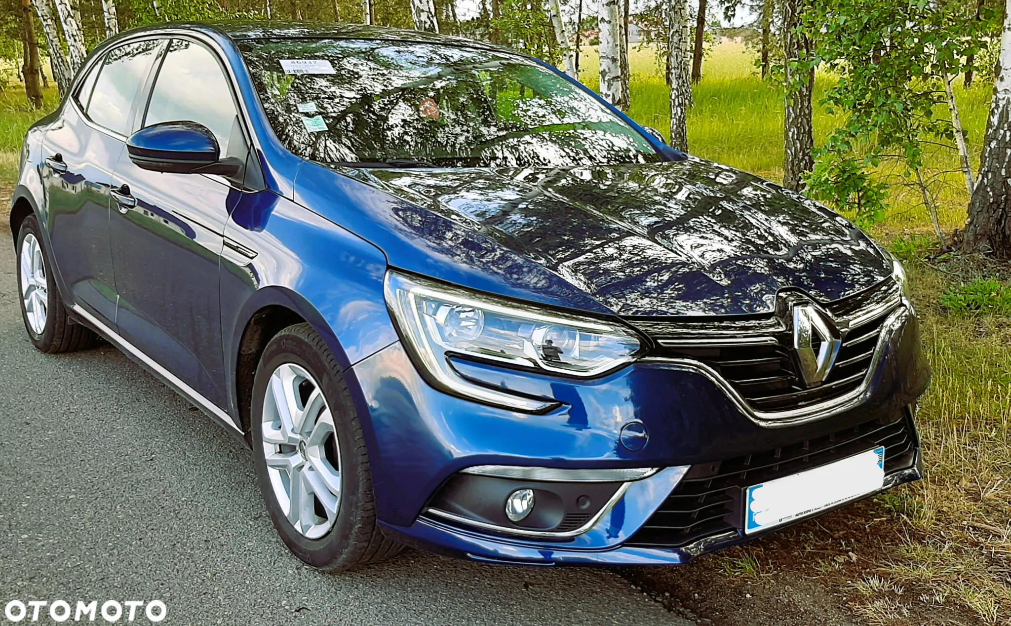 Renault Megane 1.5 Blue dCi Intens - 13