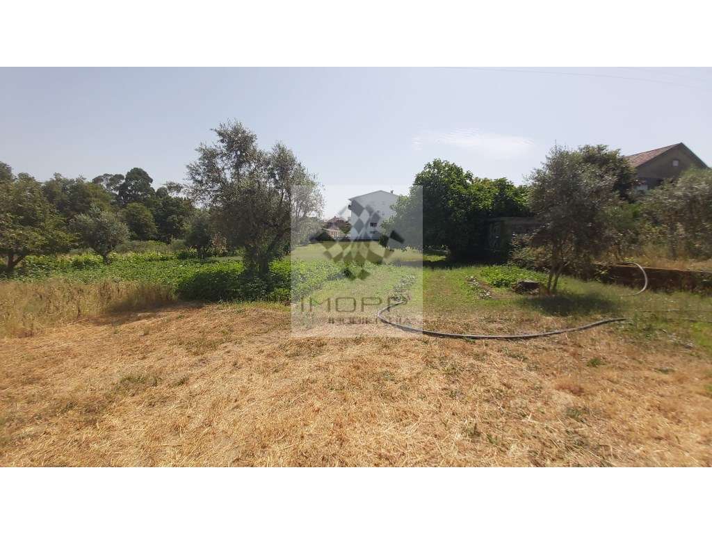 Fabulosa propriedade na zona centro do país com mais de 4.000m2 e m...-32