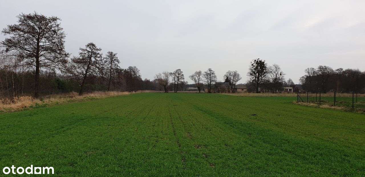 Działka w Małym Rudniku - Pełny obrazek: 4/10