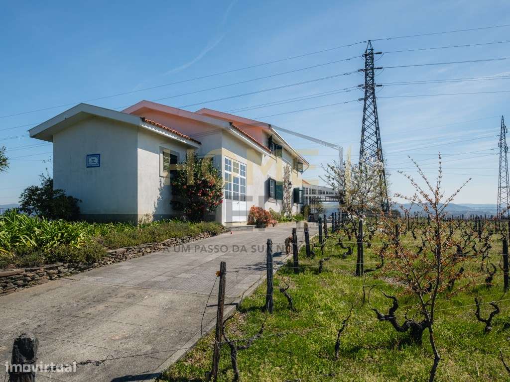 Quinta T4 com Vinhas e Oliveiras, em Santa Marta de Penaguião - Douro-7