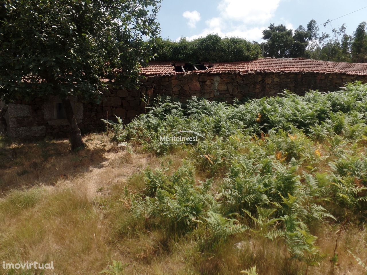 Terreno em Esmeriz, com casa em ruínas para reabilitação / ampliação o