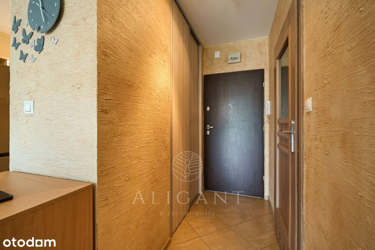 2 pokoje *Świetny układ *Dobra komunikacja-5