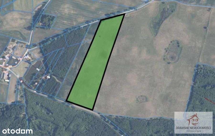 Duża działka rolna w Linownie - Pełny obrazek: 5/13