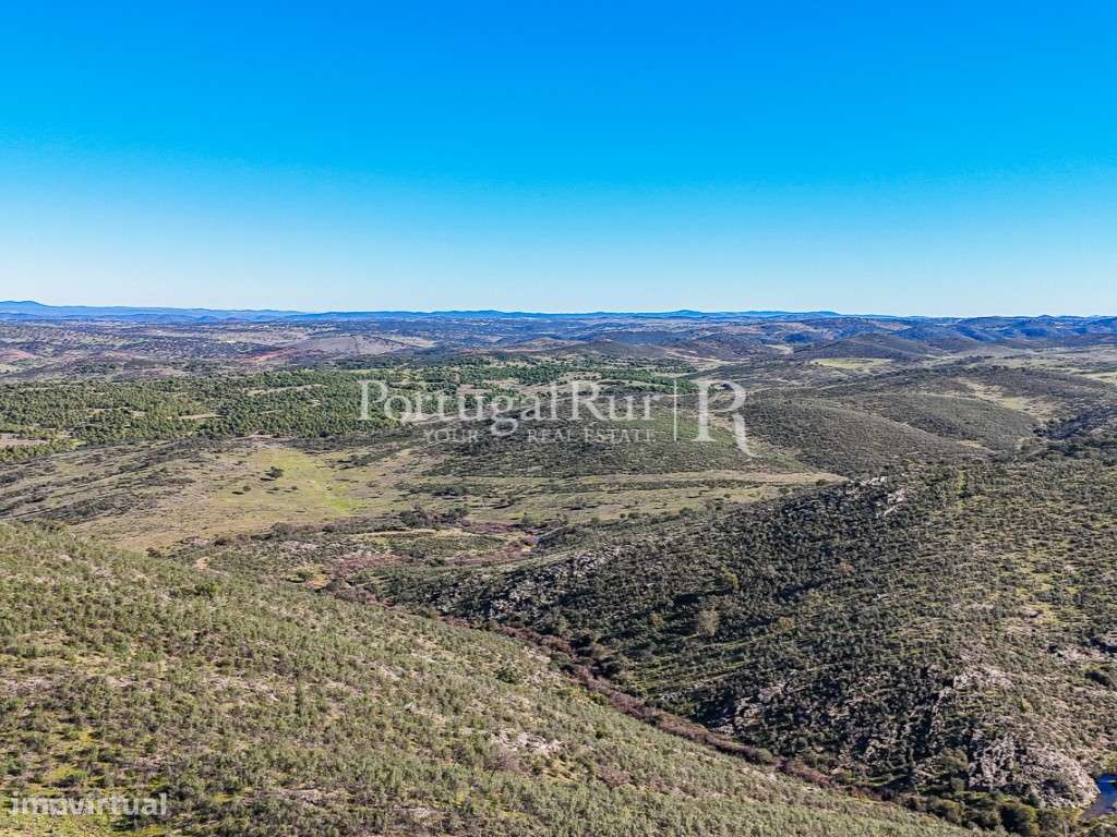 Herdade de Caça Maior com 1000 Hectares + 4 Apartamentos + Anexos-47