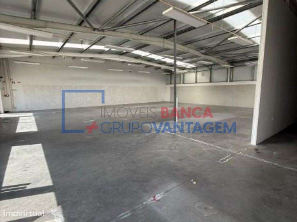 Armazém ou loja em Trancoso - Grande imagem: 4/10