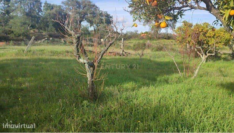 Terreno Rústico, Tinalhas, Castelo Branco - Grande imagem: 4/19