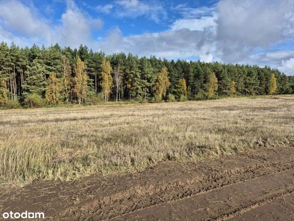 Działki Budowlane Przy Lesie Państwowym-3