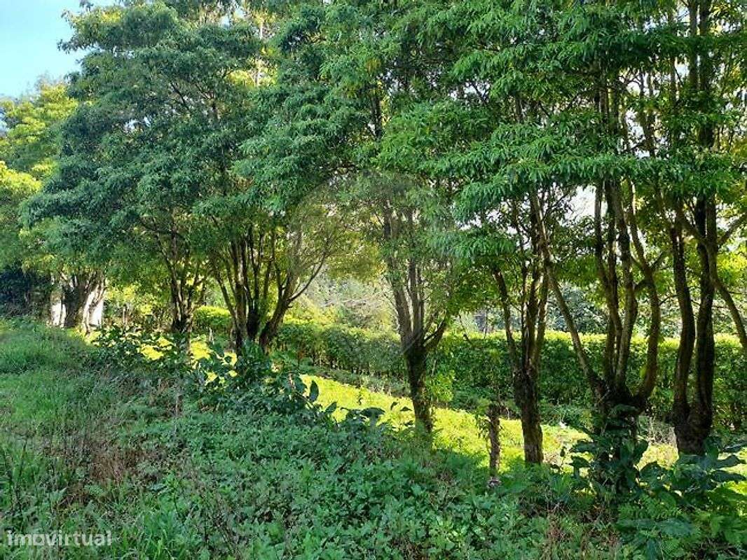 Terreno  para venda - Grande imagem: 4/7