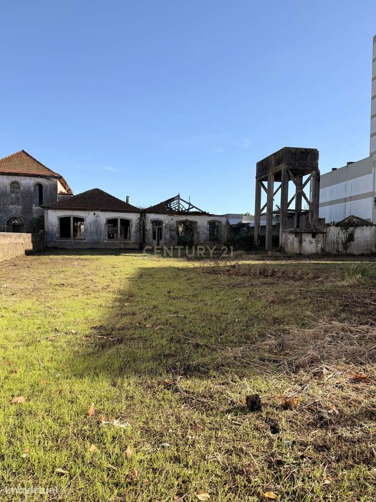 EXCELENTE OPORTUNIDADE PARA INVESTIDORES - Grande imagem: 4/19