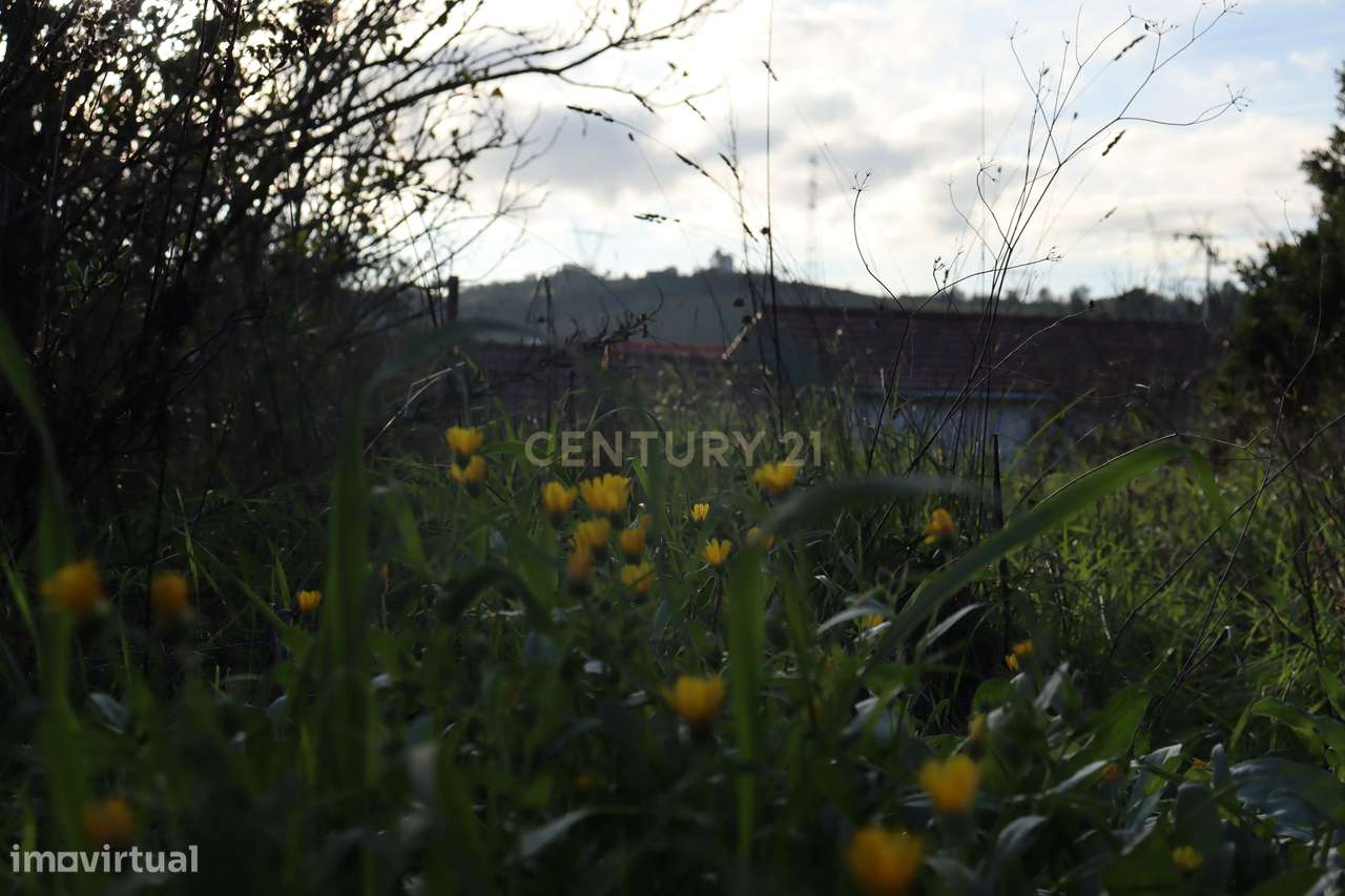 Terreno urbano com casa em ruína na Bemposta, Bucelas-16