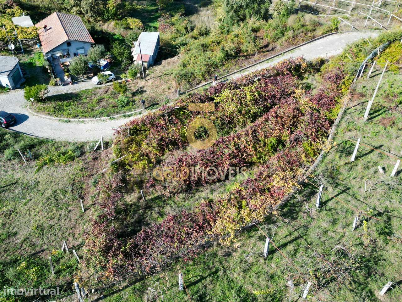 Terreno Para Construção  Venda em Santa Maria de Sardoura,Castelo de P - Grande imagem: 4/7