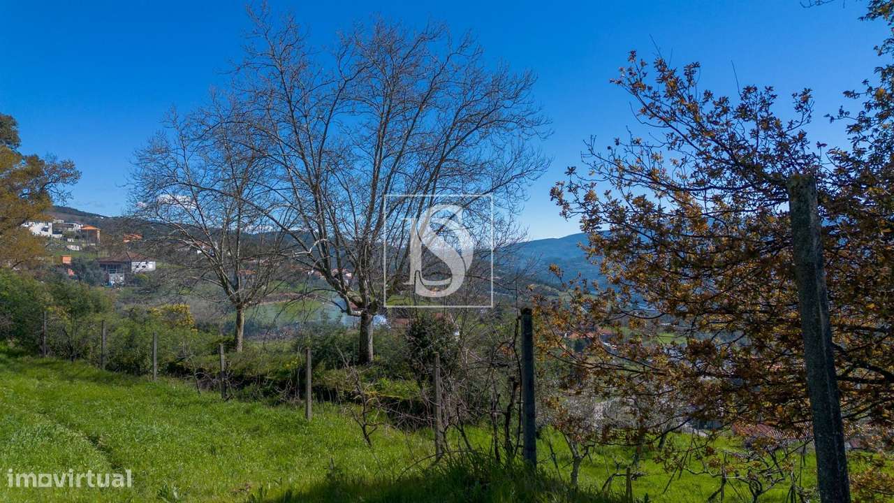 TERRENO RÚSTICO em Ancede Baião - Grande imagem: 4/26