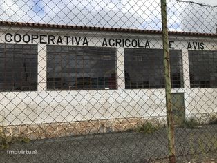 Armazém Industrial / Lagar em Vila de Avis - Grande imagem: 5/8