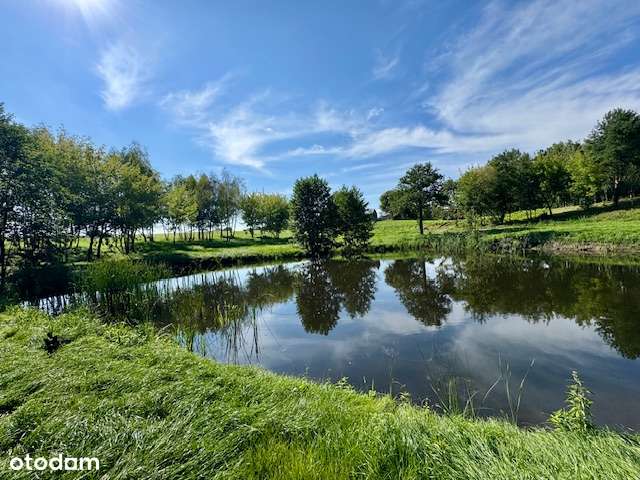 DZIAŁKA BUDOWLANA 25 km od Włocławka - Pełny obrazek: 3/20