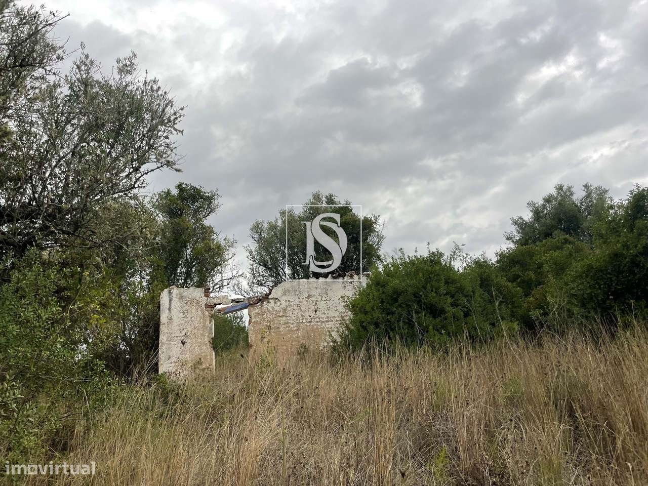 Quintinha em Montargil-15