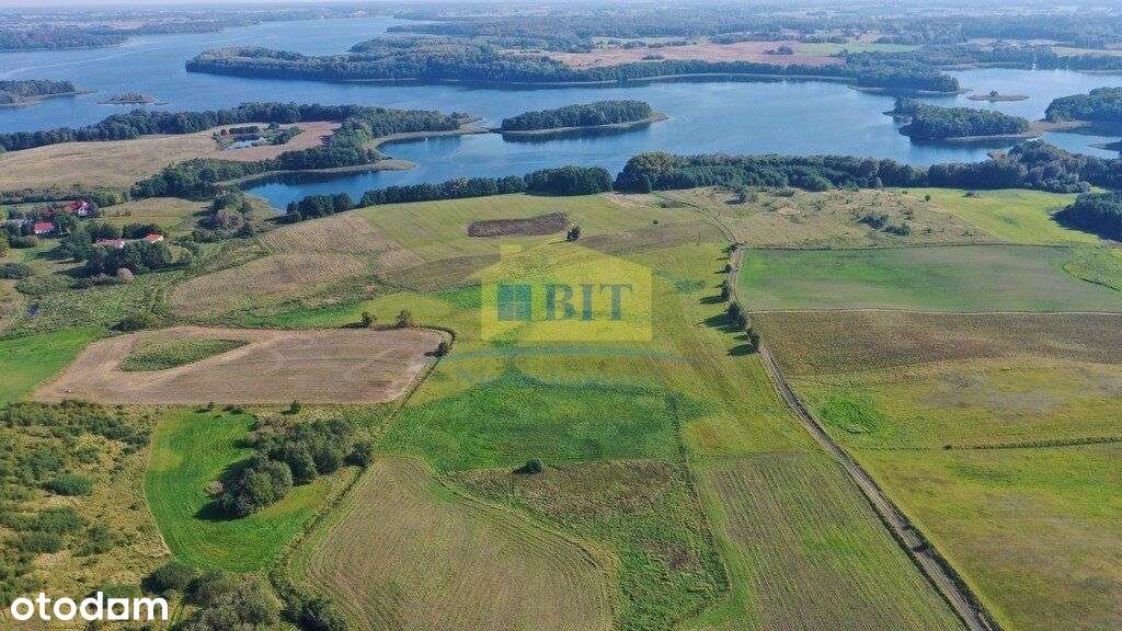 Działka 5,6 ha z dostępem do Jeziora Drawsko - Pełny obrazek: 5/7