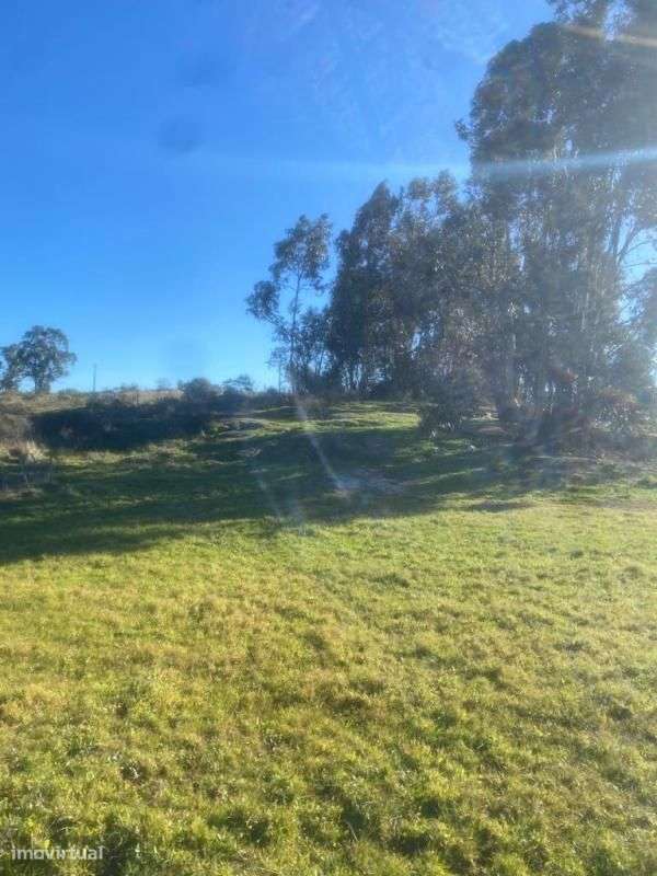 Quinta - Grande imagem: 3/10