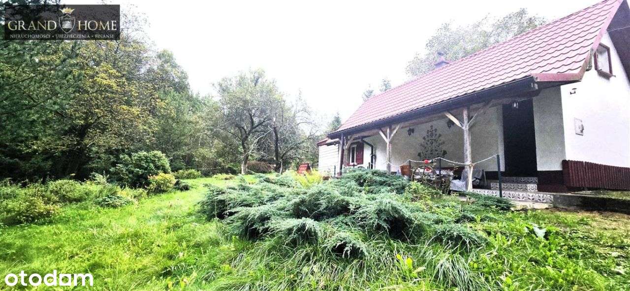 Oferta bez prowizji! - Pełny obrazek: 5/16