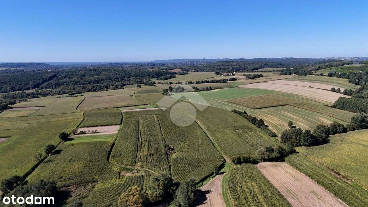 Gmina Czernichów, Rybna – 17 ar – działka rolna - Pełny obrazek: 5/6