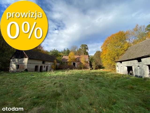 Siedlisko | 8,2 ha | Jędrzejewo k. Czarnkowa-5