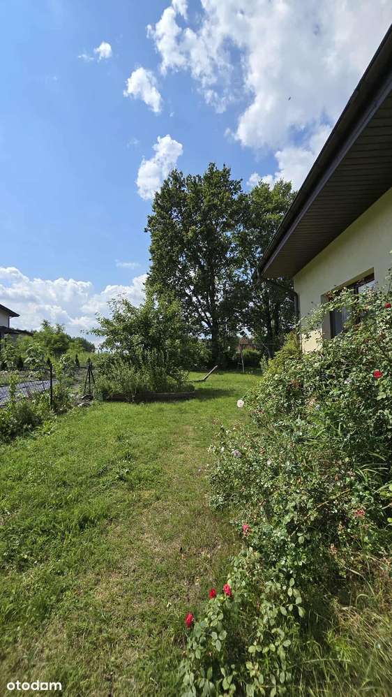 Sprzedam dom w spokojnej lokalizacji - Ciechomice-18