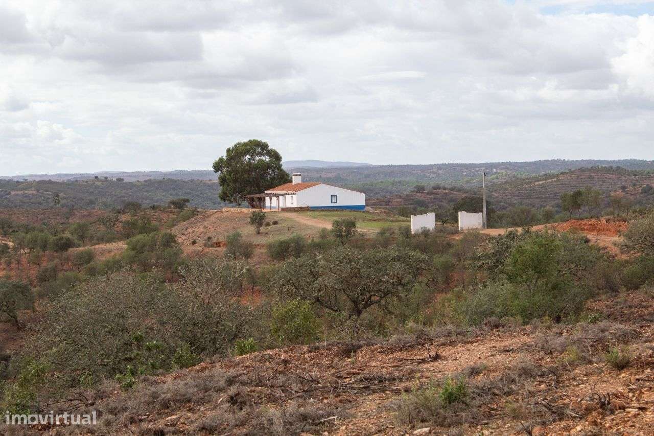 Herdade com 14.89 ha, situada na Serra de Serpa - Grande imagem: 5/39