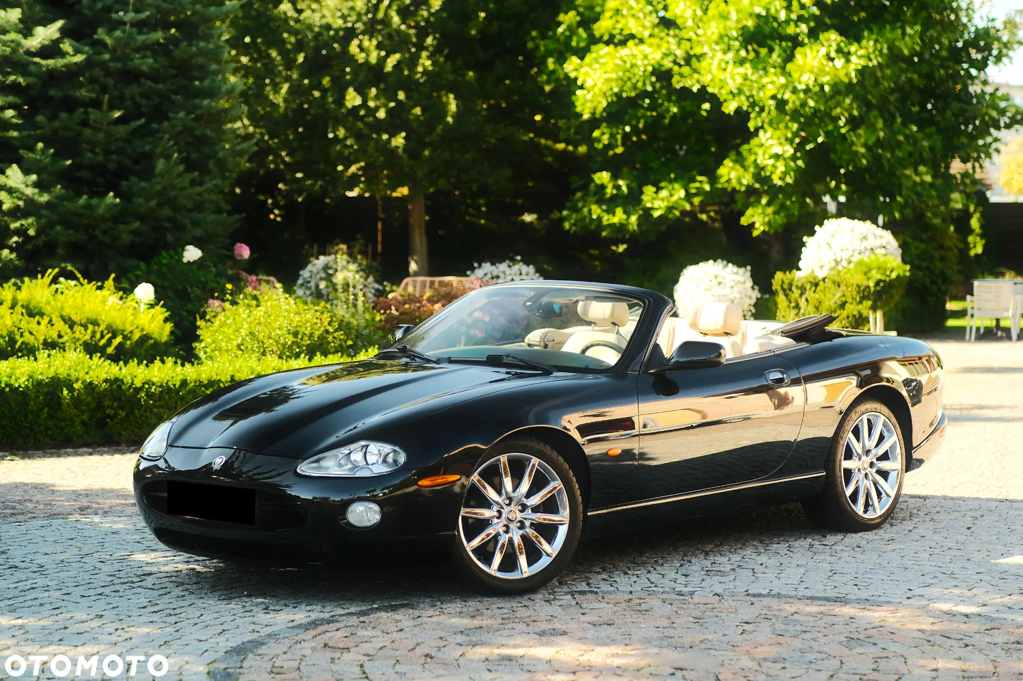 Jaguar XK8 4.2 - 21