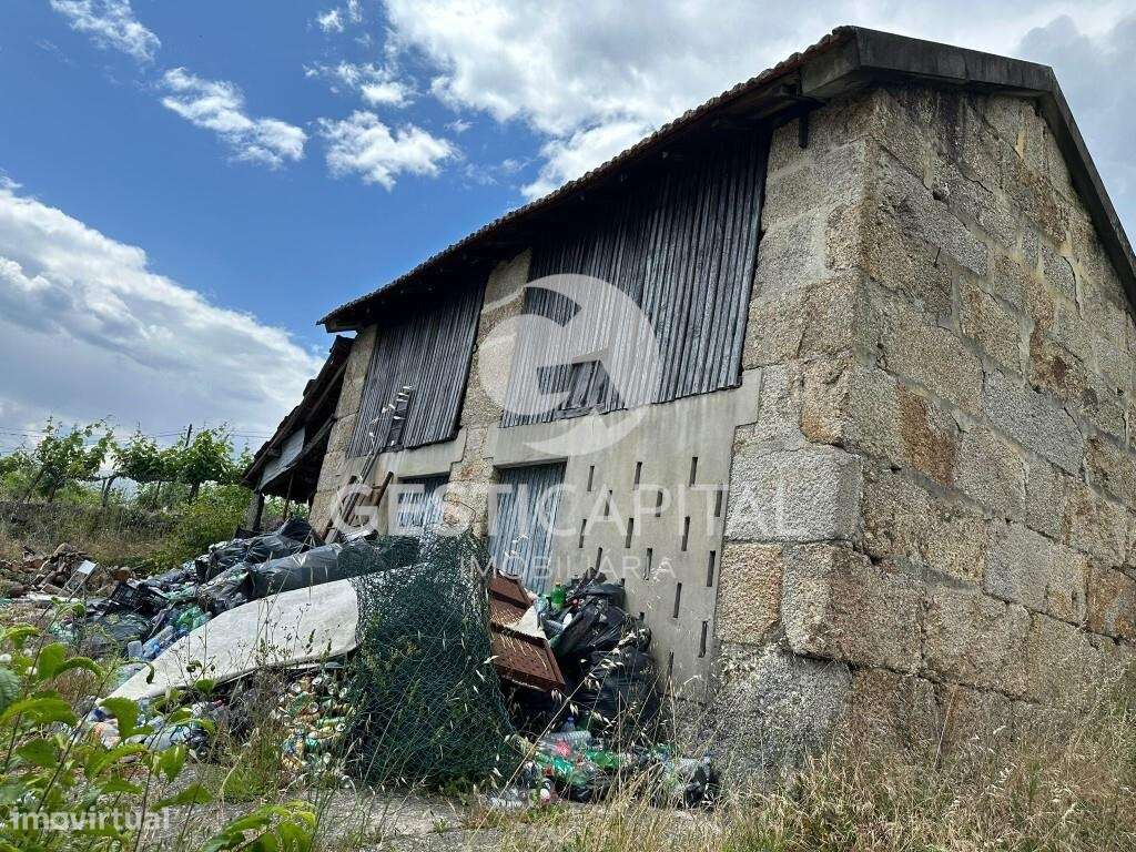 Quintinha tradicional para recuperar em Constance, Marco de Canaveses - Grande imagem: 5/24