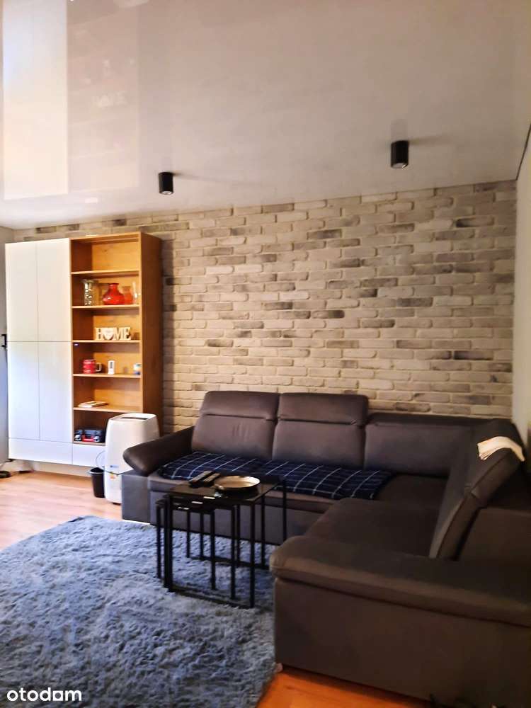 NOWOCZESNE GOSPODARSTWO O POW. 1,3033 HA Z MŁODYM SADEM - Mąkolno-4