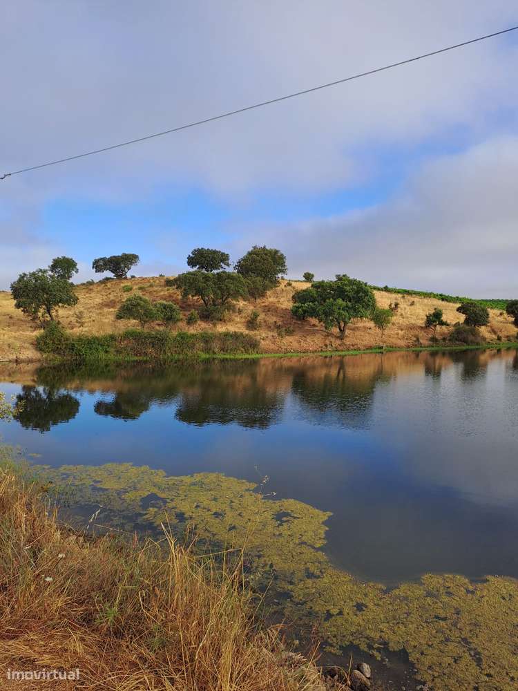 herdade para venda - Grande imagem: 3/3