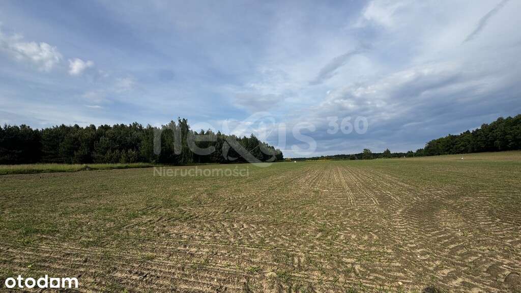 Przestrzeń i spokój - 3 hektary oazy dla Ciebie - Pełny obrazek: 4/13
