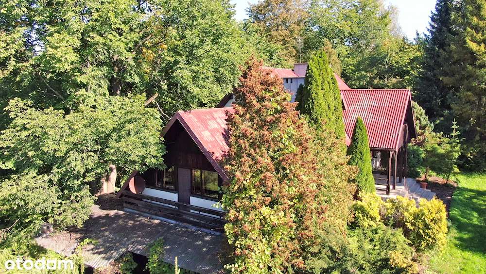 Dom 250m² z ogrodem i działką / Dobra koło Pilicy-2