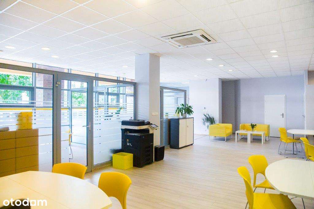 Centrum nad odrą parter witryny podjazd parking dobra lokalizacja - Pełny obrazek: 2/8