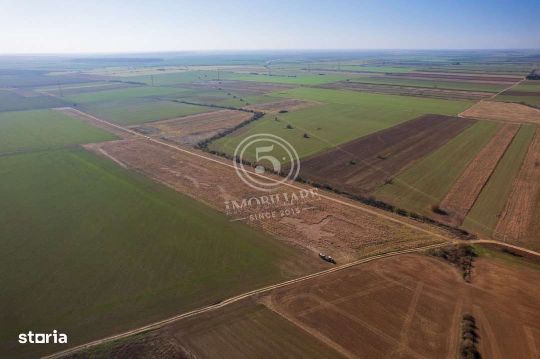 Ocazie- Teren Intravilan de Vanzare- Peris Snagov- Doar 10 euro/mp-18