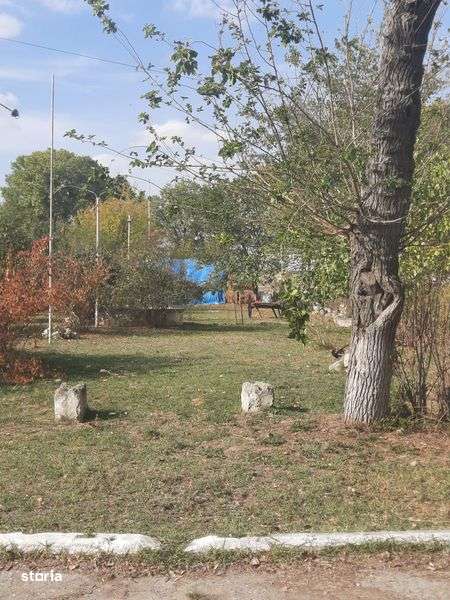 Ferma De Vanzare - Imagine principală: 4/8