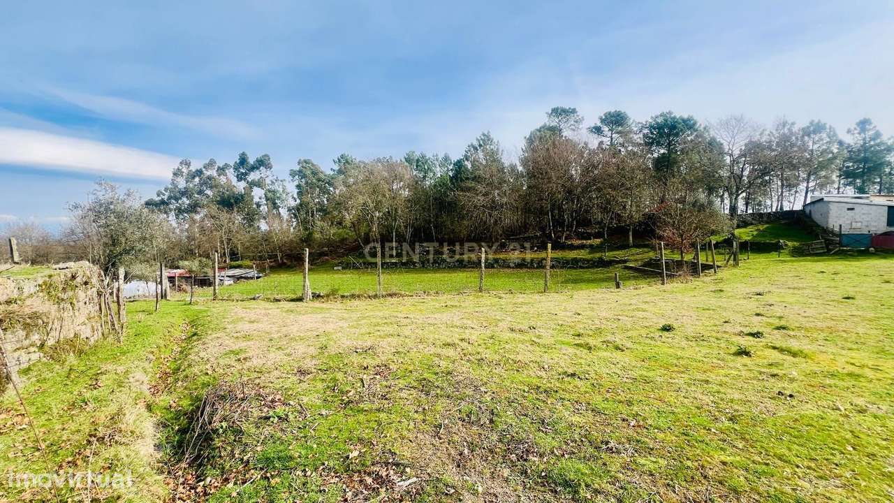 Encantador Terreno Rústico em Viseu com Poço - Grande imagem: 5/14