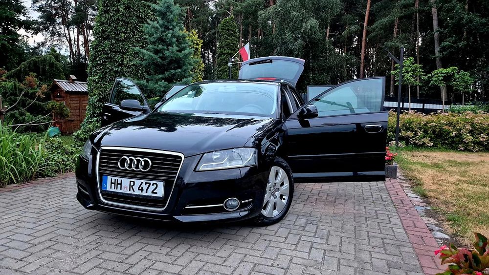 Audi A3 8P (2003-2012) 2010