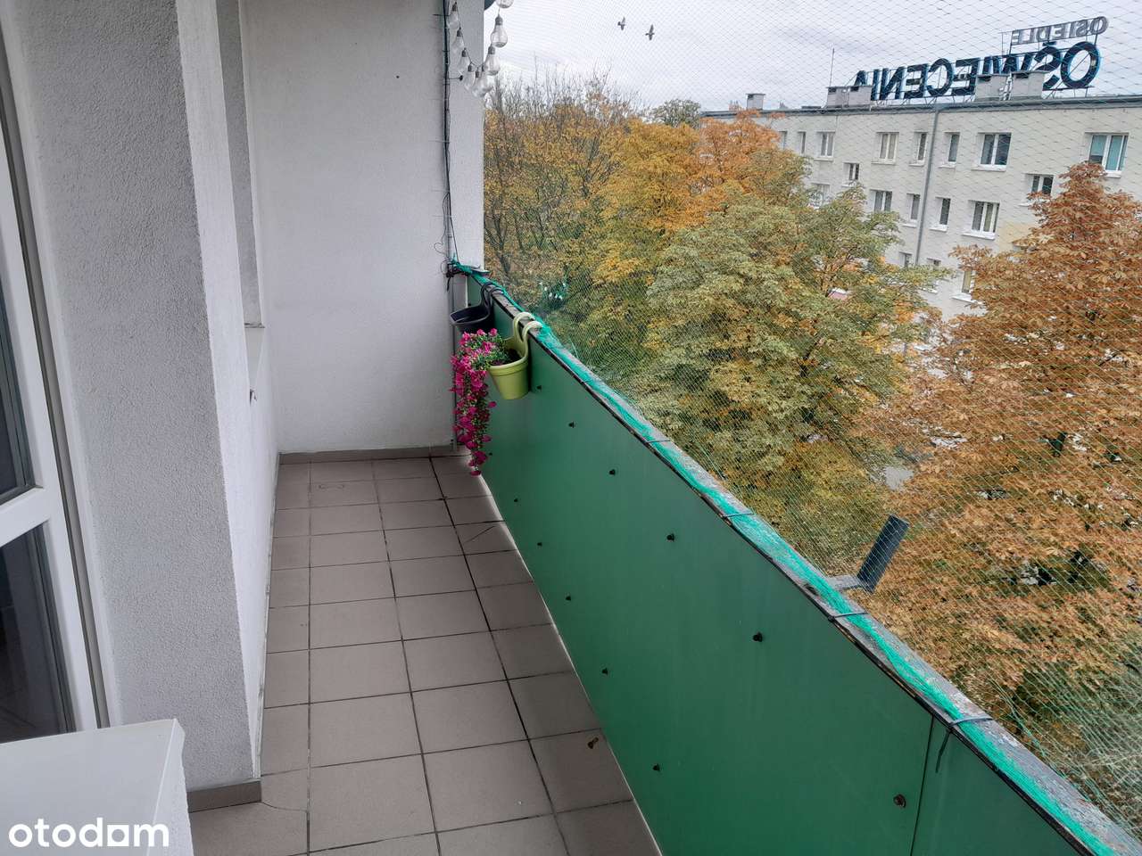 os. Oswiecenia tylko dla studentów. - Pełny obrazek: 5/6