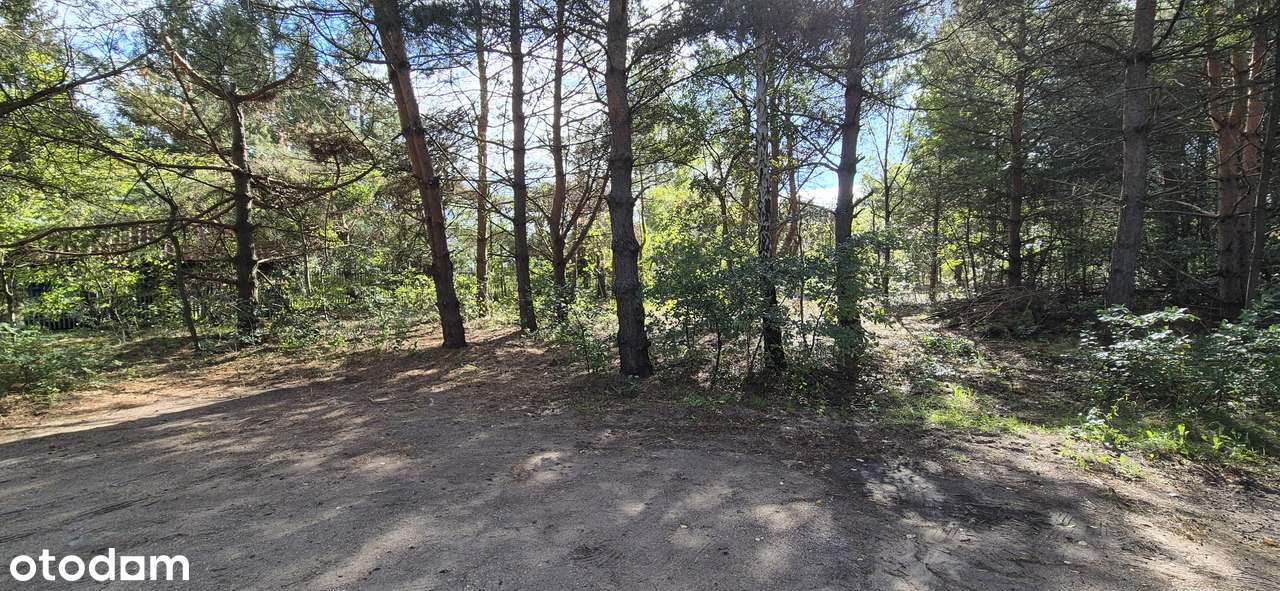 Strzeniówka | działka 2596 m² w zamkniętej enklawie rezydencjonalnej-12