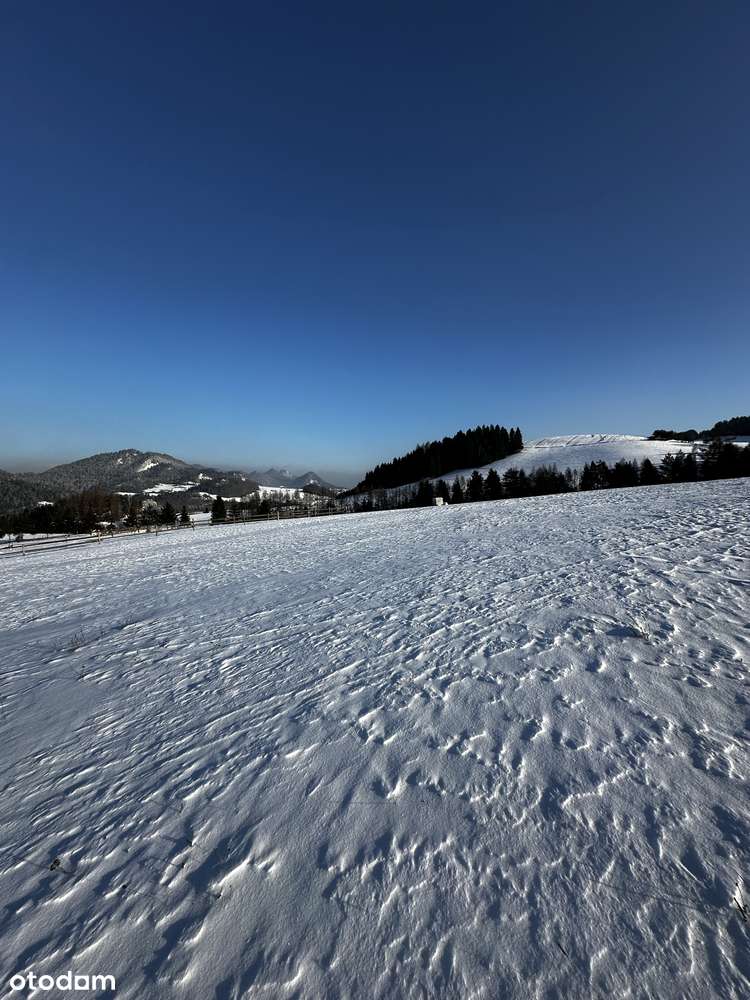 Niedzica nieruchomość z potencjałem - dom + duża działka budowlana!-5