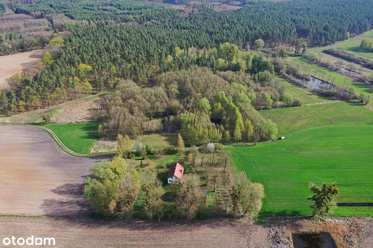 Natura, cisza, kameralność, śpiew ptaków - Pełny obrazek: 5/15