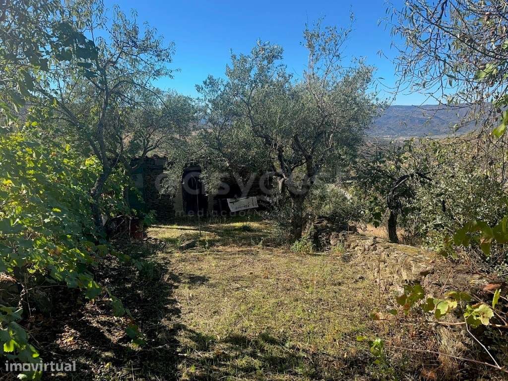 Casa de campo para restaurar com terreno em Torre de Moncorvo. - Grande imagem: 3/13
