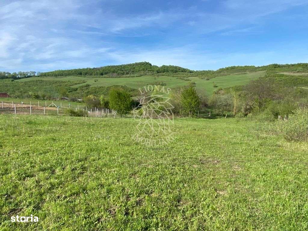 Teren 2160 mp - pretabil pentru cabana - investitie - Jelna - Imagine principală: 4/8